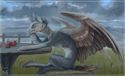 Size: 3300x2000 | Tagged: safe, artist:afialtis, imported from derpibooru, oc, oc only, pegasus, pony, apple, bandage, concave belly, food, human shoulders, male, outdoors, partially open wings, ribs, sitting, skinny, solo, stallion, table, thin, wings