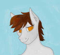 Size: 2609x2392 | Tagged: safe, artist:kokopingas98, imported from derpibooru, oc, oc only, oc:anthon, pegasus, pony, semi-anthro, brown mane, bust, digital art, gray coat, lidded eyes, looking at you, orange eyes, ponysona, simple background, smiling, smiling at you, solo