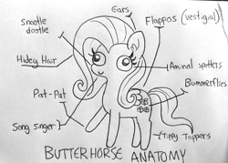 Size: 1453x1041 | Tagged: safe, artist:tjpones, imported from derpibooru, fluttershy, pegasus, pony, aminals, anatomy, anatomy chart, anatomy guide, chart, derp, female, lineart, mare, raised hoof, silly art, simple background, solo, traditional art