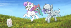 Size: 2000x800 | Tagged: safe, artist:darkdoomer, imported from derpibooru, silver spoon, sweetie belle, original species, plush pony, grass, grass field, paper, plushie