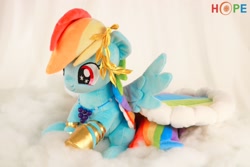 Size: 2048x1366 | Tagged: safe, artist:50kilosofhope, imported from derpibooru, rainbow dash, clothes, dress, gala dress, irl, photo, plushie, sitting, smiling, solo, spread wings, wings