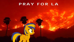 Size: 1920x1080 | Tagged: safe, artist:mlpfan3991, imported from derpibooru, oc, oc:flare spark, pegasus, female, fire, la wildfires, los angeles