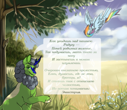 Size: 1718x1484 | Tagged: safe, artist:myannothepen, imported from derpibooru, rainbow dash, oc, oc:thunder teeth, kirin, pegasus, pony, cloud, cyrillic, field, flower, kirin oc, russian, translated in the description, tree