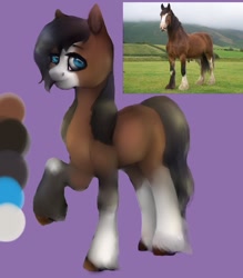 Size: 1071x1224 | Tagged: safe, artist:dorry, imported from derpibooru, earth pony, horse, pony, bald face, blaze (coat marking), clothes, coat markings, facial markings, female, irl, irl horse, looking at you, mare, photo, ponified animal photo, purple background, raised hoof, simple background, socks, solo, unshorn fetlocks