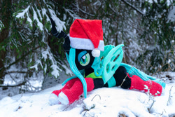 Size: 1095x730 | Tagged: safe, artist:mgrdash, imported from derpibooru, queen chrysalis, changedling, changeling, pony, christmas, christmas changeling, clothes, hat, holiday, irl, outdoors, photo, ponies in real life, santa hat, snow, socks, solo, stockings, thigh highs, winter