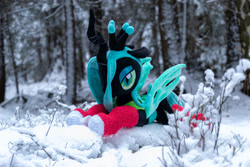 Size: 1095x730 | Tagged: safe, artist:mgrdash, imported from derpibooru, queen chrysalis, changedling, changeling, pony, christmas, christmas changeling, clothes, holiday, irl, outdoors, photo, plushie, ponies in real life, snow, socks, solo, stockings, thigh highs, winter, winter outfit