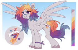 Size: 2048x1324 | Tagged: safe, artist:cheekipone, oc, oc only, pegasus, pony, bandaid on nose, bracelet, cloud, coat markings, color palette, cutie mark, eyebrows, female, floppy ears, grin, jewelry, mare, passepartout, pegasus oc, pegasus wings, reference sheet, shooting star, smiling, spread wings, standing, stars, unshorn fetlocks, wings