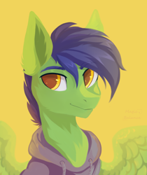 Size: 1676x2000 | Tagged: safe, artist:vitani, imported from derpibooru, oc, oc only, pegasus, pony, bust, eyebrows, eyebrows visible through hair, male, portrait, simple background, smiling, solo, stallion, yellow background