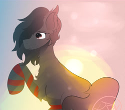 Size: 7500x6570 | Tagged: safe, artist:derpyshy, imported from derpibooru, oc, oc only, oc:nonya, earth pony, pony, chest fluff, clothes, ear fluff, male, raised hoof, socks, solo, stallion, striped socks, sun