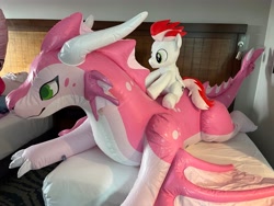 Size: 4032x3024 | Tagged: safe, artist:nekokevin, imported from derpibooru, oc, oc:swift apex, dragon, pegasus, pony, bed, cerisey, imaginary creature factory, indoors, inflatable, inflatable dragon, inflatable toy, irl, megaplex, photo, plushie, pony plushie, riding, solo