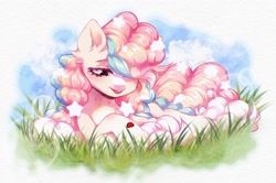 Size: 2560x1695 | Tagged: safe, artist:seurnik, imported from derpibooru, oc, oc only, oc:suflya, earth pony, insect, ladybug, pony, cloud, cream coat, curly hair, ear fluff, fluffy, grass, long eyelashes, multicolored hair, outdoors, ponytail, rainbow eyes, rainbow hair, smiling, solo, stars