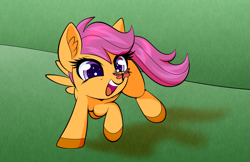 Size: 1333x866 | Tagged: safe, artist:scandianon, imported from derpibooru, scootaloo, butterfly, pegasus, pony, butterfly on nose, female, filly, foal, happy, insect on nose, outdoors, running, smiling, spread wings, wings