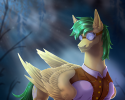 Size: 2500x2000 | Tagged: safe, artist:universalevil, imported from derpibooru, oc, oc only, pegasus, commission, goggles, solo