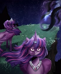 Size: 2500x3000 | Tagged: safe, artist:slapearl, imported from derpibooru, nightmare rarity, rarity, twilight sparkle, alicorn, pony, alternate hairstyle, crown, crying, duo, duo female, female, grass, gritted teeth, horn, horn ring, jewelry, lesbian, mare, markings, night, rarilight, redesign, regalia, ring, sad, shipping, teeth, twilight sparkle (alicorn), unshorn fetlocks