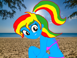 Size: 1693x1270 | Tagged: safe, artist:darkplayerferraz269, artist:shieldwingarmorofgod, imported from derpibooru, oc, oc only, oc:royal strength, equestria girls, beach, belly, belly button, bikini, blue skin, clothes, female, midriff, multicolored hair, ponytail, solo, swimsuit