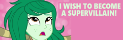 Size: 1728x563 | Tagged: safe, edit, edited screencap, imported from derpibooru, screencap, wallflower blush, equestria girls, equestria girls specials, my little pony equestria girls: forgotten friendship, wish, wishing