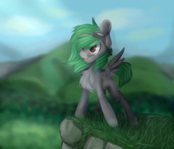 Size: 3500x3000 | Tagged: safe, artist:sleepicookie, imported from derpibooru, oc, oc:toxic gears, pegasus, pony, chest fluff, female, goggles, grass, mare, solo