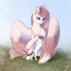 Size: 1920x1920 | Tagged: safe, artist:fasutell-a, artist:maravor, imported from derpibooru, oc, oc:vanilla ray, cat, pegasus, pony, colored wings, female, mare, solo, two toned wings, wings