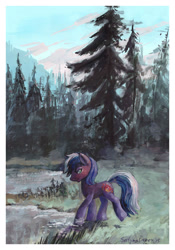 Size: 1510x2157 | Tagged: safe, artist:satynapaper, imported from derpibooru, oc, oc only, oc:proudy hooves, earth pony, pony, 2015, commission, earth pony oc, forest, gouache, green eyes, lake, looking back, male, nature, scenery, smiling, solo, stallion, traditional art, tree, water, ych result