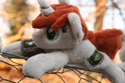 Size: 3888x2592 | Tagged: safe, artist:bastler, imported from derpibooru, oc, oc:littlepip, unicorn, fallout equestria, horn, irl, photo, pipbuck, plushie, unicorn oc