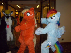 Size: 800x600 | Tagged: safe, artist:spainfischer, imported from derpibooru, applejack, rainbow dash, oc, 2011, anthrocon, duo focus, furry, furry oc, fursuit, indoors, irl, photo, ponysuit