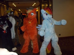 Size: 2000x1500 | Tagged: safe, artist:spainfischer, imported from derpibooru, applejack, rainbow dash, oc, 2011, anthrocon, duo focus, furry, furry oc, fursuit, indoors, irl, photo, ponysuit