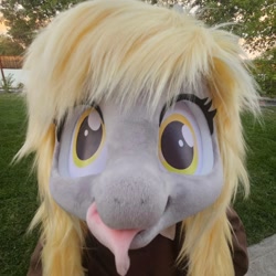 Size: 1080x1080 | Tagged: safe, imported from derpibooru, derpy hooves, fursuit, irl, outdoors, photo, ponysuit, solo