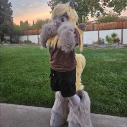 Size: 1080x1080 | Tagged: safe, imported from derpibooru, derpy hooves, fursuit, irl, outdoors, photo, ponysuit, solo