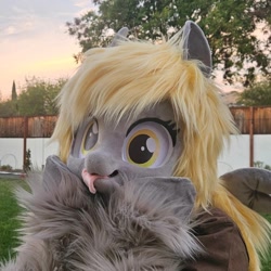 Size: 1080x1080 | Tagged: safe, imported from derpibooru, derpy hooves, fursuit, irl, outdoors, photo, ponysuit, solo