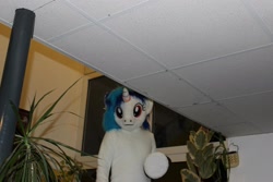 Size: 2074x1382 | Tagged: safe, artist:atalonthedeer, imported from derpibooru, dj pon-3, vinyl scratch, 2013, fursuit, indoors, irl, photo, ponysuit, solo, wwu