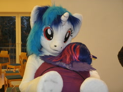 Size: 3648x2736 | Tagged: safe, artist:atalonthedeer, imported from derpibooru, dj pon-3, vinyl scratch, human, 2013, duo, fursuit, indoors, irl, irl human, photo, ponysuit, wwu