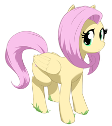 Size: 910x1024 | Tagged: artist needed, safe, imported from derpibooru, fluttershy, pegasus, cute, cute eyes, grass, looking at you, simple background, standing, white background