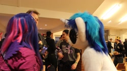 Size: 2074x1165 | Tagged: safe, artist:atalonthedeer, imported from derpibooru, dj pon-3, vinyl scratch, human, 2013, fursuit, indoors, irl, irl human, photo, ponysuit, wwu