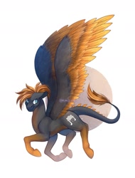 Size: 1231x1621 | Tagged: safe, artist:momoalistair, imported from derpibooru, oc, oc only, oc:loud thunder, pegasus, pony, abstract background, colored wings, colored wingtips, flying, leonine tail, male, solo, spread wings, stallion, tail, wings