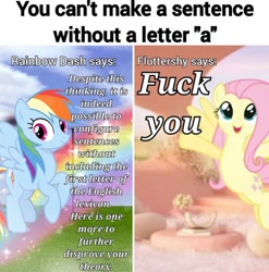 Size: 978x989 | Tagged: safe, imported from derpibooru, fluttershy, rainbow dash, dissonant caption, meme, text, vulgar