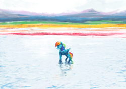 Size: 3508x2480 | Tagged: safe, artist:xallaanacyoxcyor, imported from derpibooru, rainbow dash, pegasus, pony, female, mare, reflection, scenery, solo