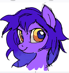 Size: 721x760 | Tagged: safe, artist:skypaw10, imported from derpibooru, oc, oc only, oc:sungaze, earth pony, pony, bust, female, mare, portrait, redesign, smiling, solo