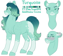 Size: 1731x1536 | Tagged: safe, artist:plixine, imported from derpibooru, oc, oc:turquoise, earth pony, pony, female, mare, reference sheet, simple background, solo, transparent background