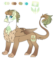 Size: 2348x2555 | Tagged: safe, artist:plixine, imported from derpibooru, oc, oc only, oc:sandy, hippogriff, female, interspecies offspring, magical lesbian spawn, offspring, parent:greta, parent:press release, reference sheet, simple background, solo, transparent background