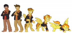 Size: 1400x657 | Tagged: safe, artist:chub-wub, imported from derpibooru, spitfire, oc, oc:acesential, human, pegasus, pony, clothes, grin, human to pony, jacket, male to female, rule 63, simple background, smiling, spread wings, transformation, transformation sequence, transgender transformation, white background, wings