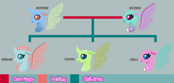 Size: 1980x950 | Tagged: safe, artist:alejandrogmj, artist:wasisi, derpibooru exclusive, imported from derpibooru, axilla, carapace (g4), lumbar, ocellus, spiracle, changedling, changeling, base used, family tree, older, older axilla, older lumbar, older ocellus