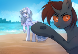 Size: 2480x1748 | Tagged: safe, artist:glumarkoj, imported from derpibooru, oc, oc only, changeling, pegasus, pony, beach, blushing, chest fluff, covering, curved horn, duo, female, horn, mare, ocean, water