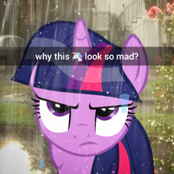 Size: 1602x1602 | Tagged: safe, artist:trrrebleee, artist:trrriple0dds, edit, imported from derpibooru, screencap, vector edit, twilight sparkle, pony, unicorn, caption, irl, meme, outdoors, photo, rain, real life background, snapchat, text, twilight sparkle is not amused, unamused, unicorn twilight, vector, wet, wet mane