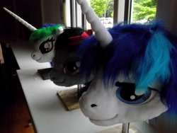 Size: 4288x3216 | Tagged: safe, artist:atalonthedeer, imported from derpibooru, octavia melody, princess celestia, shining armor, 2013, disembodied head, fursuit head, galacon, irl, photo, ponysuit, table, trio