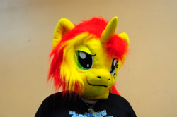 Size: 3216x2136 | Tagged: safe, artist:atalonthedeer, imported from derpibooru, sunset shimmer, human, 2014, bronymuc, fursuit, irl, irl human, photo, ponysuit