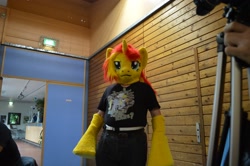 Size: 3384x2250 | Tagged: safe, artist:atalonthedeer, imported from derpibooru, sunset shimmer, human, 2014, bronymuc, fursuit, irl, irl human, photo, ponysuit