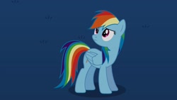 Size: 2560x1440 | Tagged: safe, imported from derpibooru, rainbow dash, pegasus, pony, looking up, night