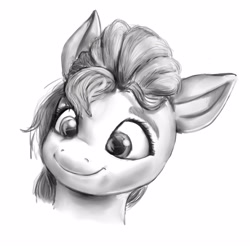 Size: 3744x3678 | Tagged: safe, artist:nedemai, imported from derpibooru, sunny starscout, earth pony, pony, bust, female, g5, mare, monochrome, my little pony: a new generation, portrait, simple background, smiling, solo