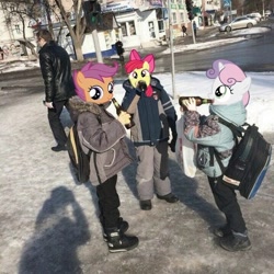 Size: 736x736 | Tagged: safe, edit, imported from derpibooru, apple bloom, scootaloo, sweetie belle, alcohol, backpack, beer, beer bottle, bottle, cutie mark crusaders, drink, drinking, meme, photo, poland, street, traffic light, underaged drinking, winter