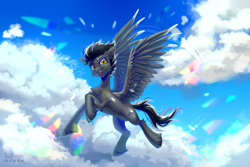 Size: 3708x2480 | Tagged: safe, artist:teaflower300, imported from derpibooru, oc, oc only, pegasus, pony, belly, pegasus oc, solo, wings